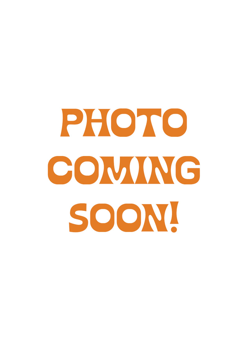 *PREORDER* Scout shirt in balsam