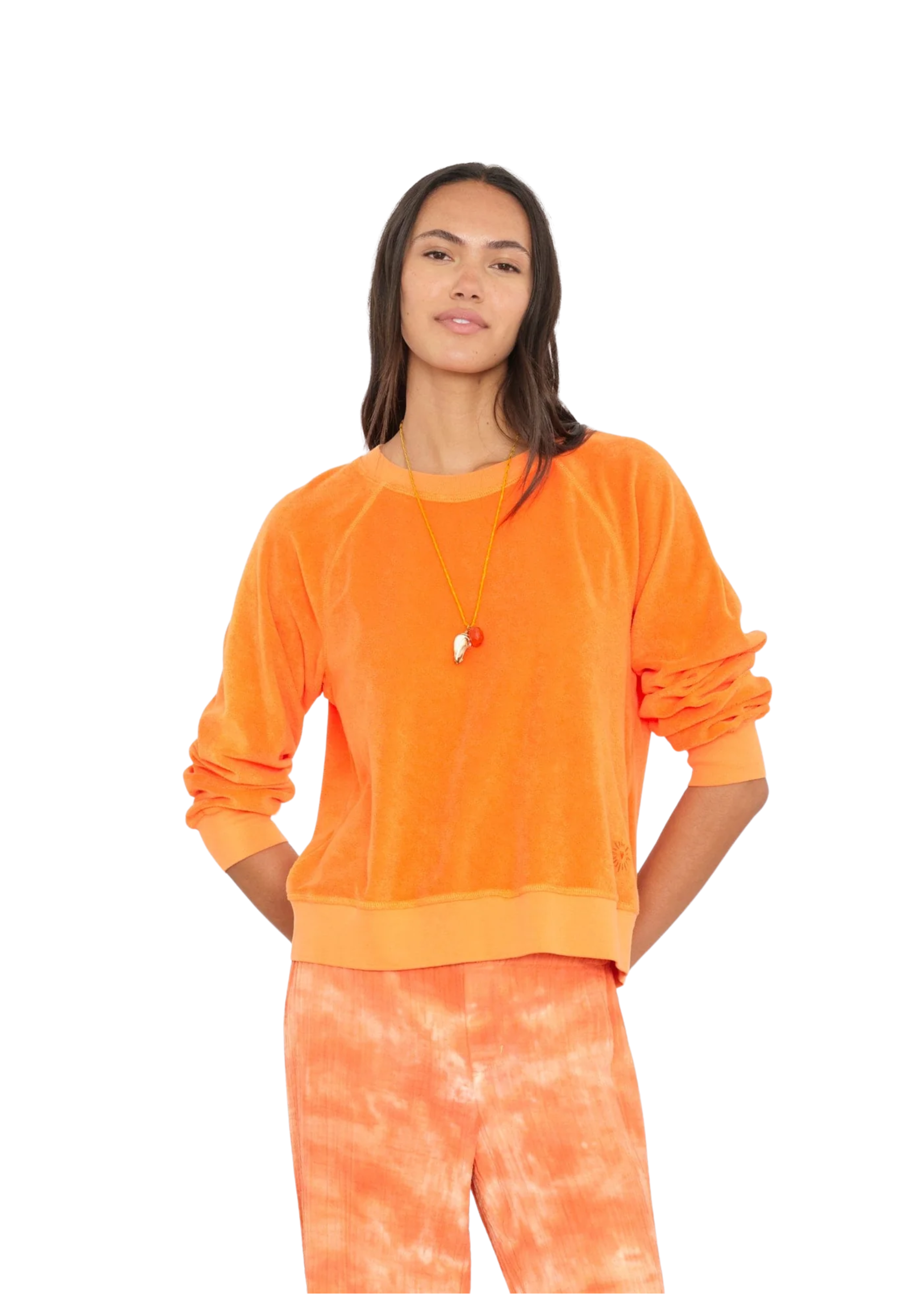 Pierre terry sweatshirt in cocoa bean