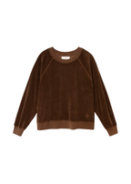Pierre terry sweatshirt in cocoa bean