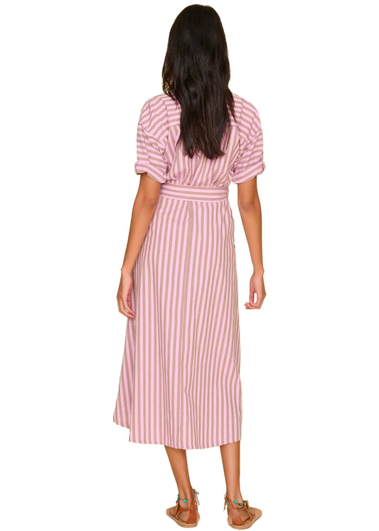 Liora dress in fig stripe